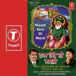 Gulla Sarhale Wala Songs MP3 Download